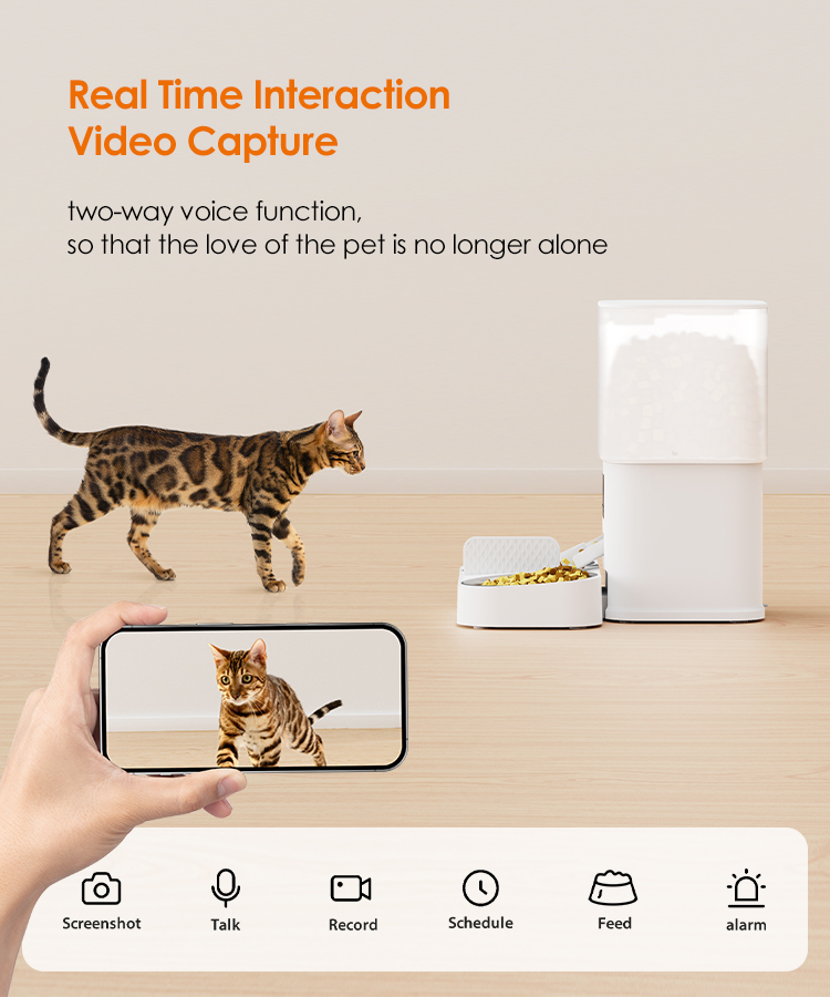 Pawbilt Dual-Bowl Smart Pet Feeder Description Image