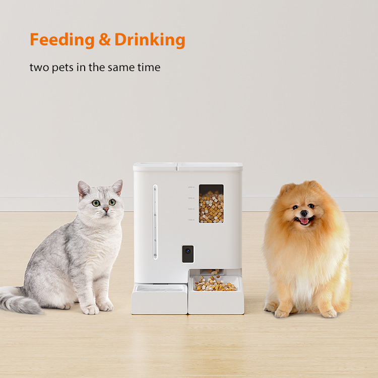 Pawbilt Smart Combo Feeder & Fountain with Camera Monitor