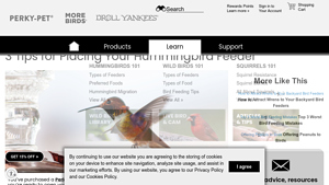 Perky-Pet - Smart Camera Hummingbird Feeder