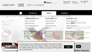 Perky-Pet - Smart Camera Hummingbird Feeder