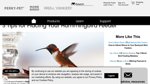 Perky-Pet - Smart Camera Hummingbird Feeder