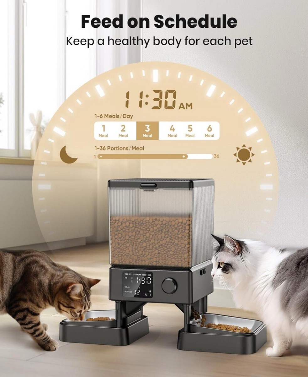 An application scenario or product detail of pet automatic feeders - Image 9