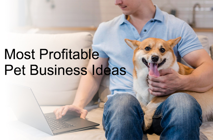 An application scenario or product detail of pet business ideas - Image 13