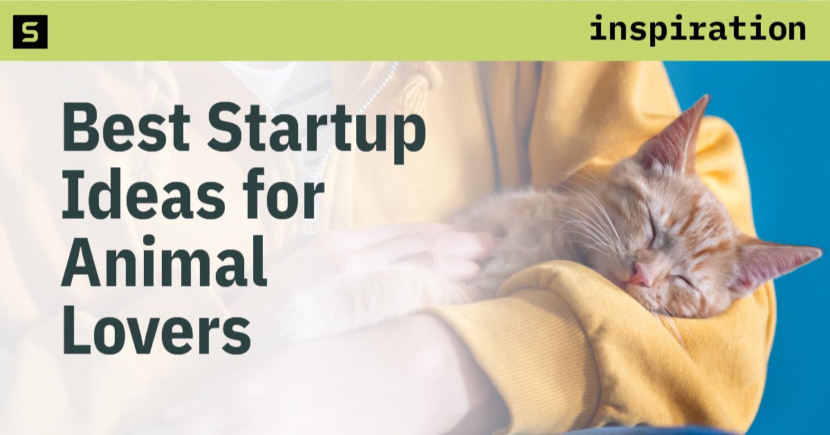 An application scenario or product detail of pet business ideas - Image 18