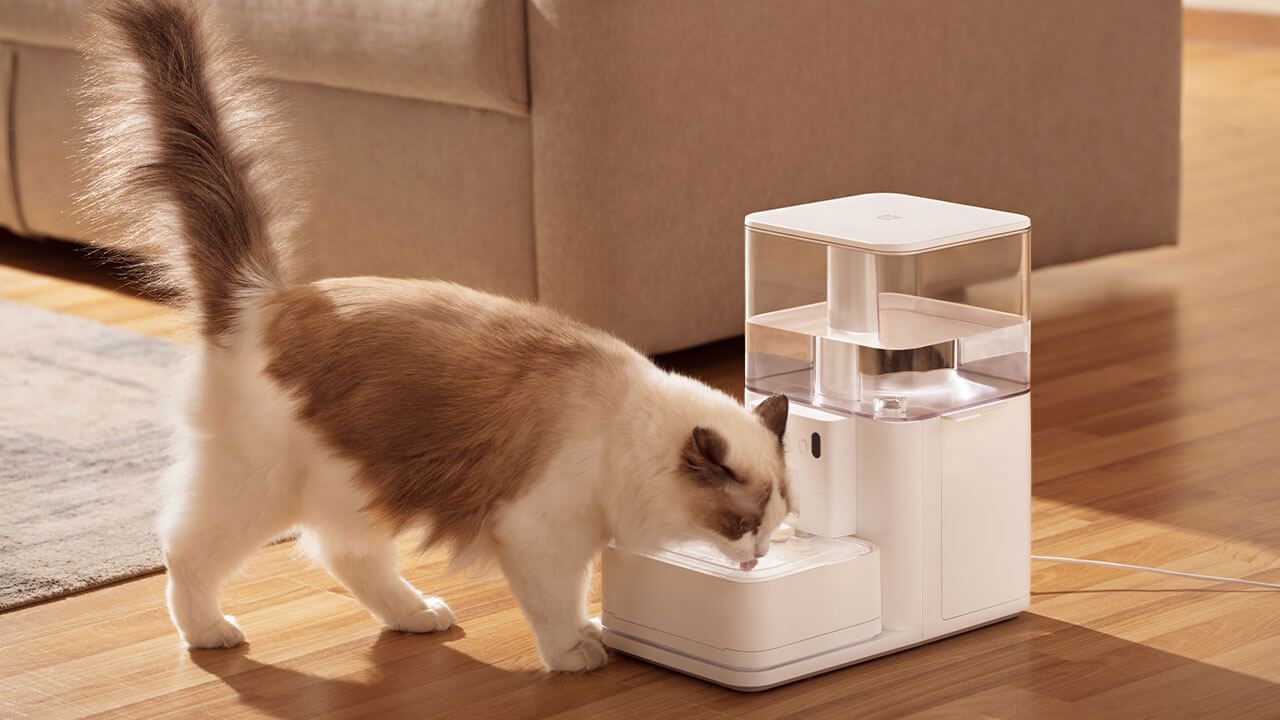 An application scenario or product detail of pet business ideas - Image 20