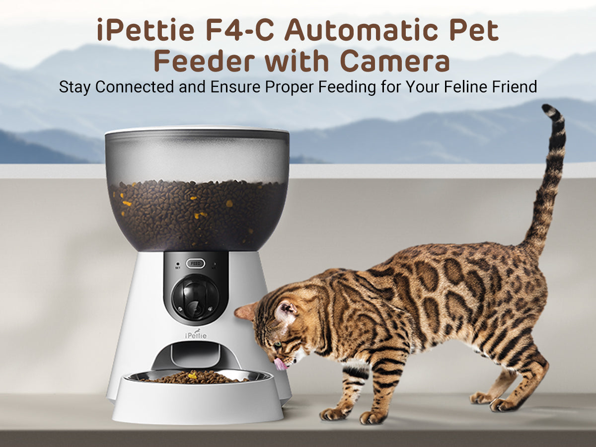 An application scenario or product detail of pet camera and feeder - Image 14