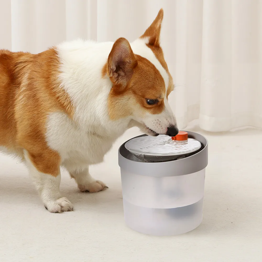An application scenario or product detail of pet drinking fountain - Image 14