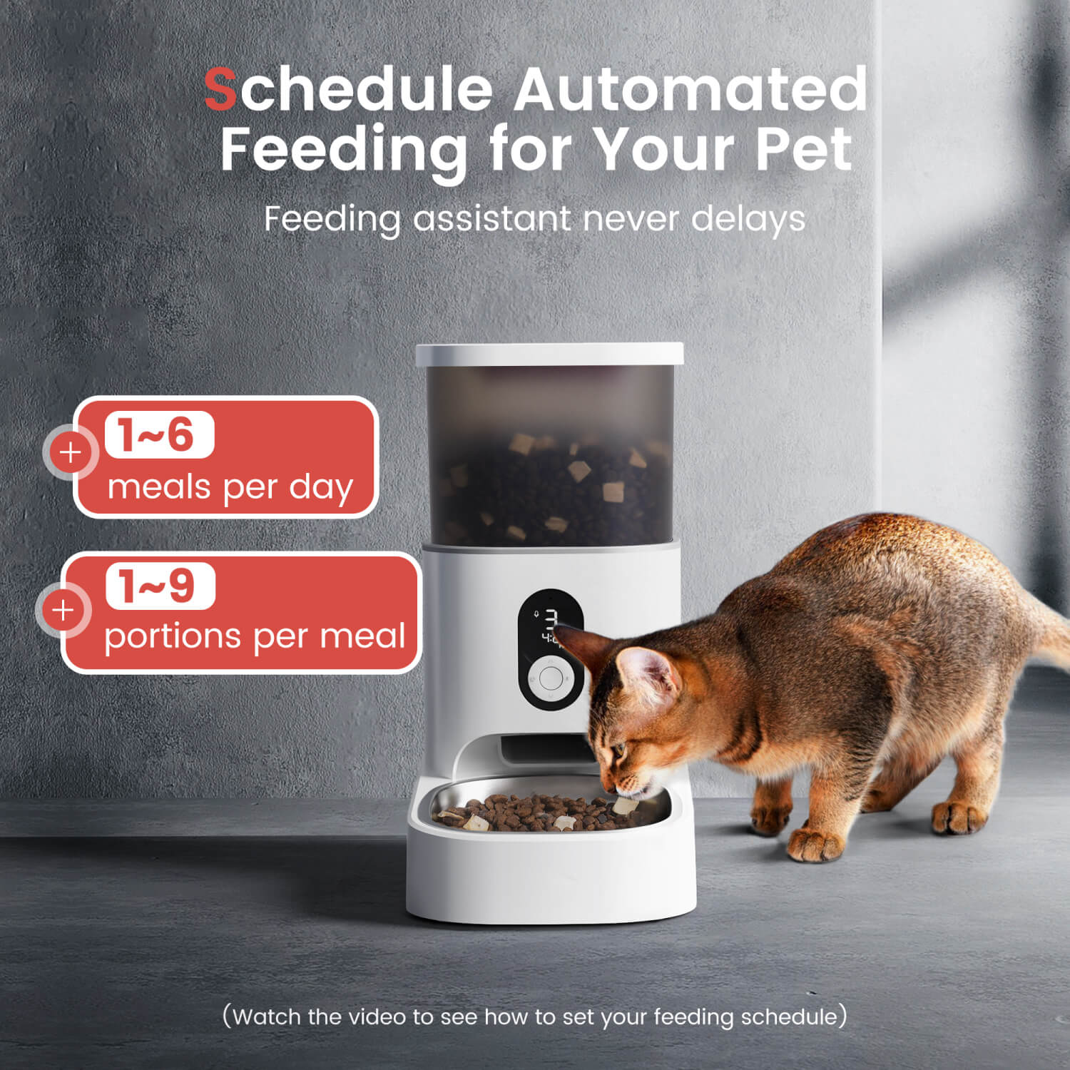 An application scenario or product detail of pet feeder app - Image 8