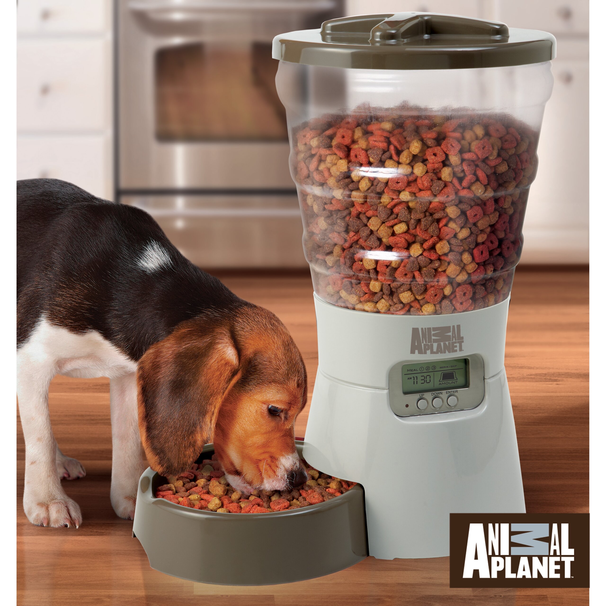 An application scenario or product detail of pet feeder electronic - Image 13