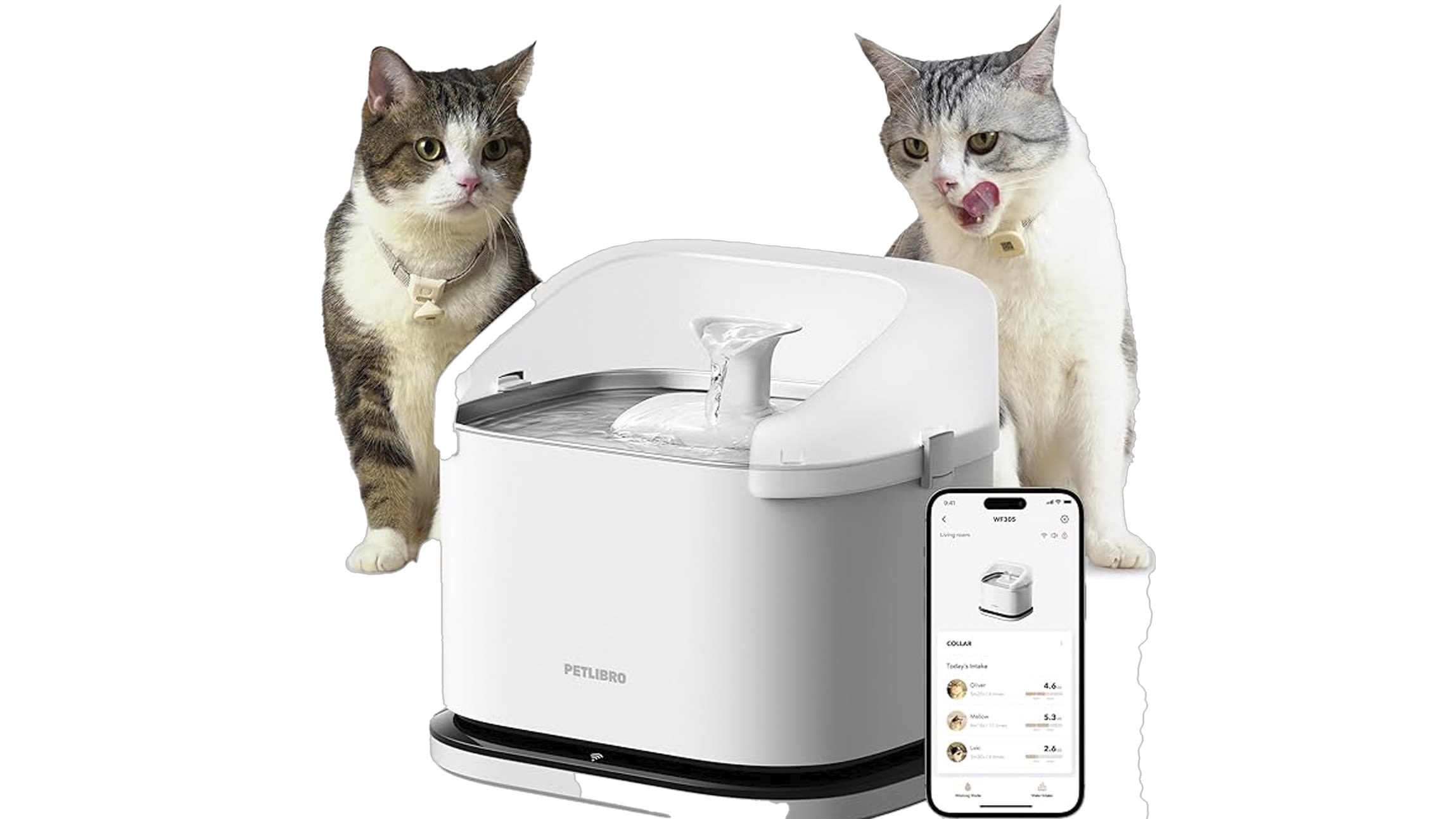 An application scenario or product detail of pet filtered water fountain - Image 9