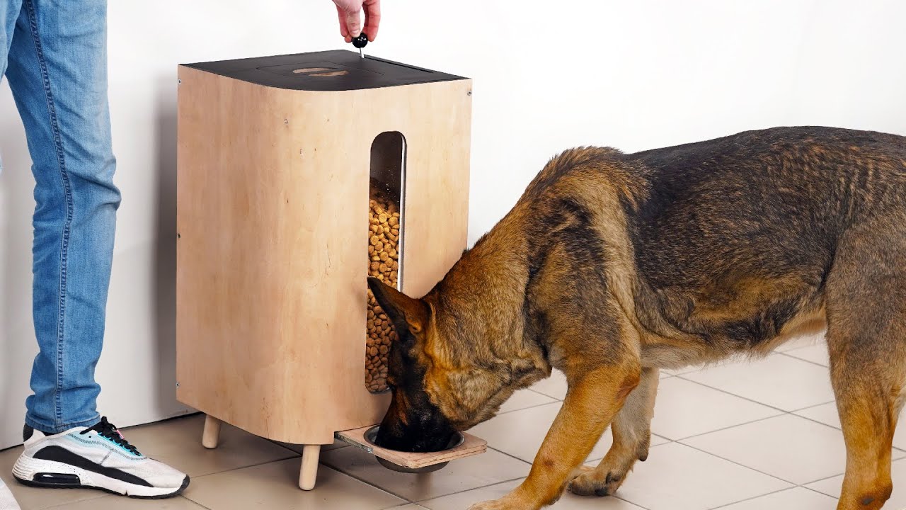 An application scenario or product detail of pet food dispensers - Image 18
