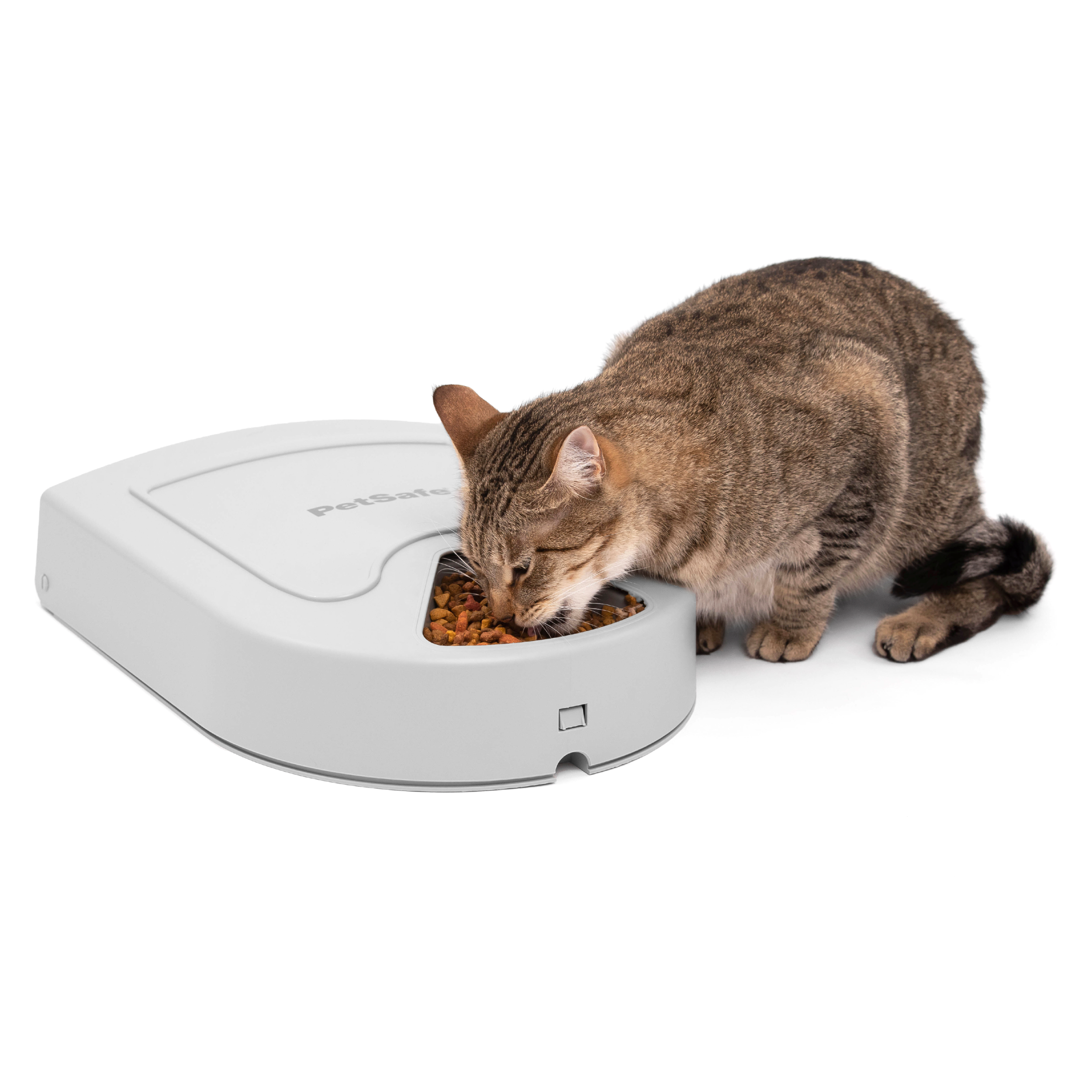 An application scenario or product detail of pet food feeder automatic - Image 8