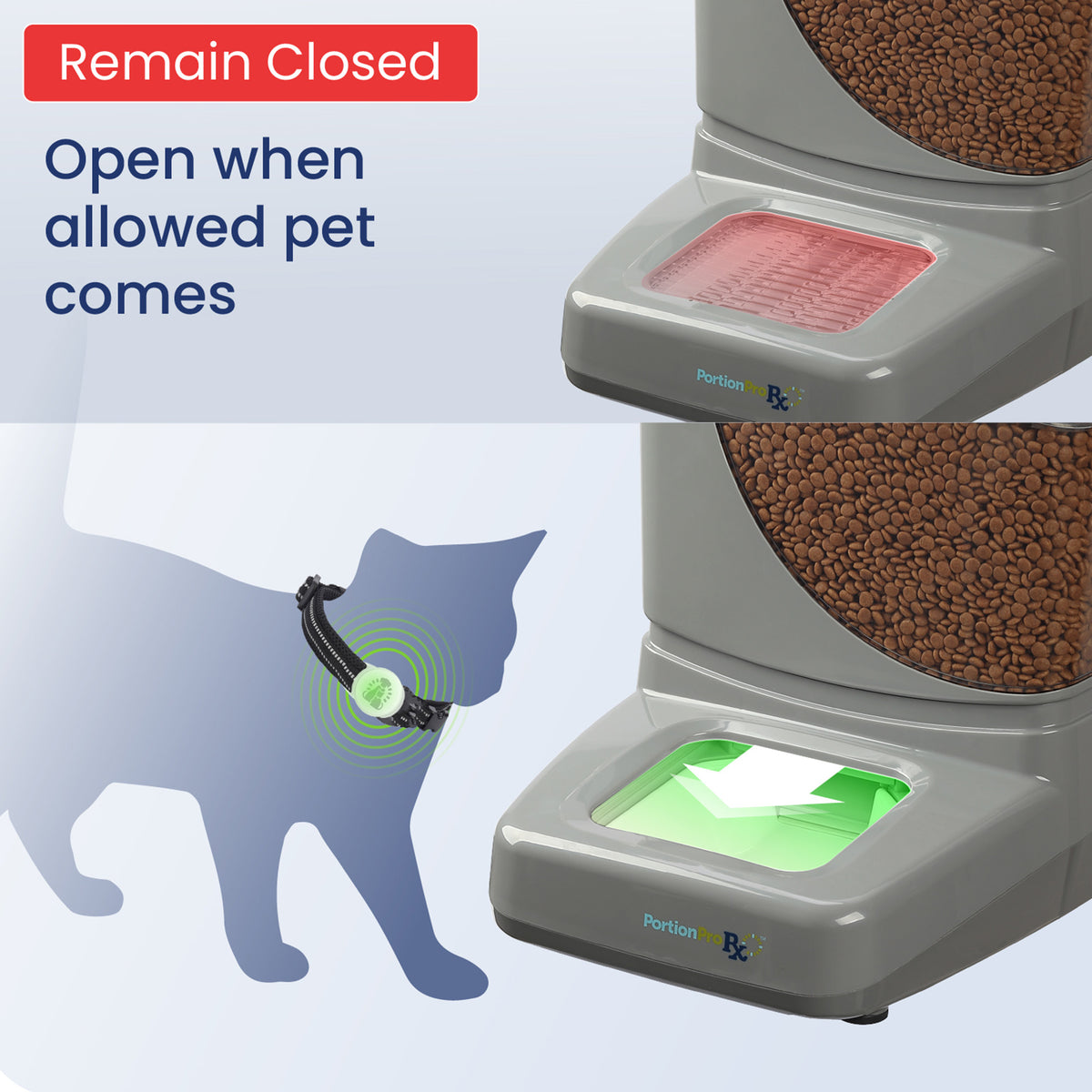 An application scenario or product detail of pet food feeder automatic - Image 15