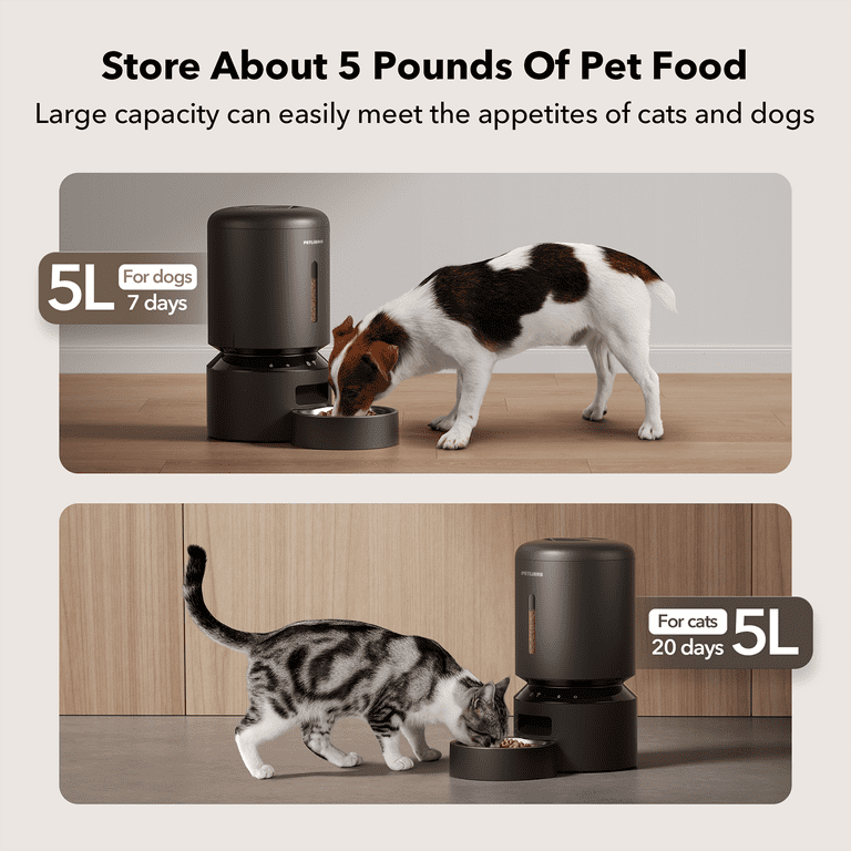 An application scenario or product detail of pet libro automatic cat feeder - Image 11