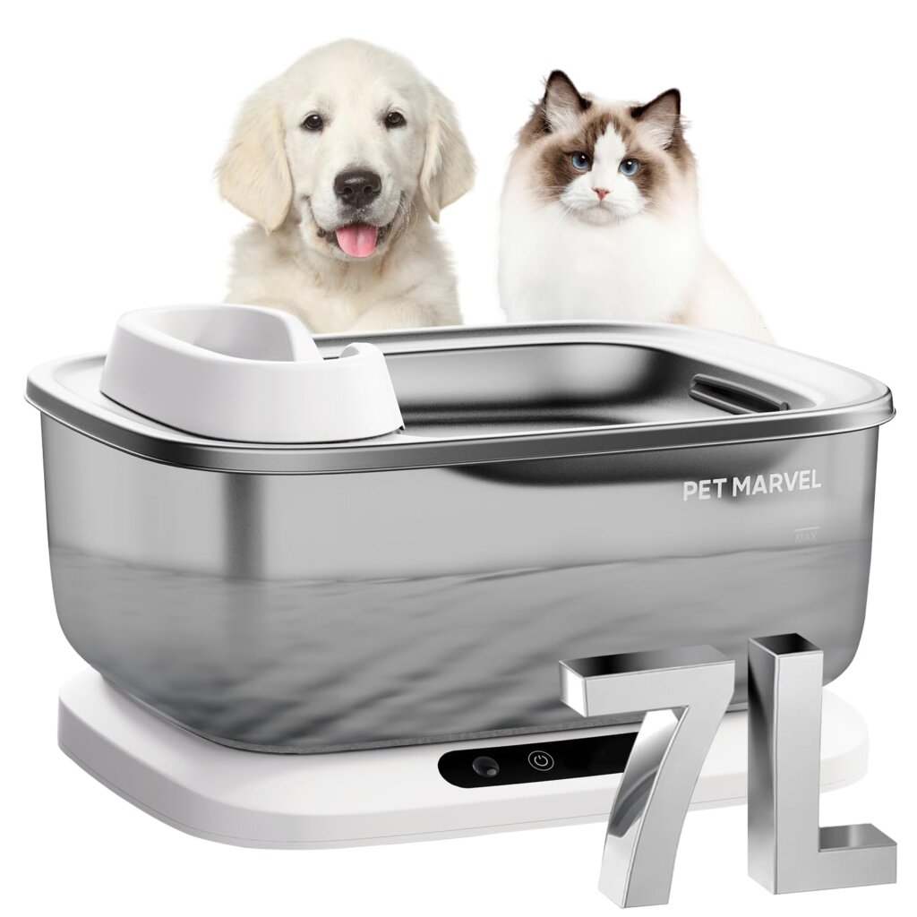 Featured image for the pet marvel water fountain guide