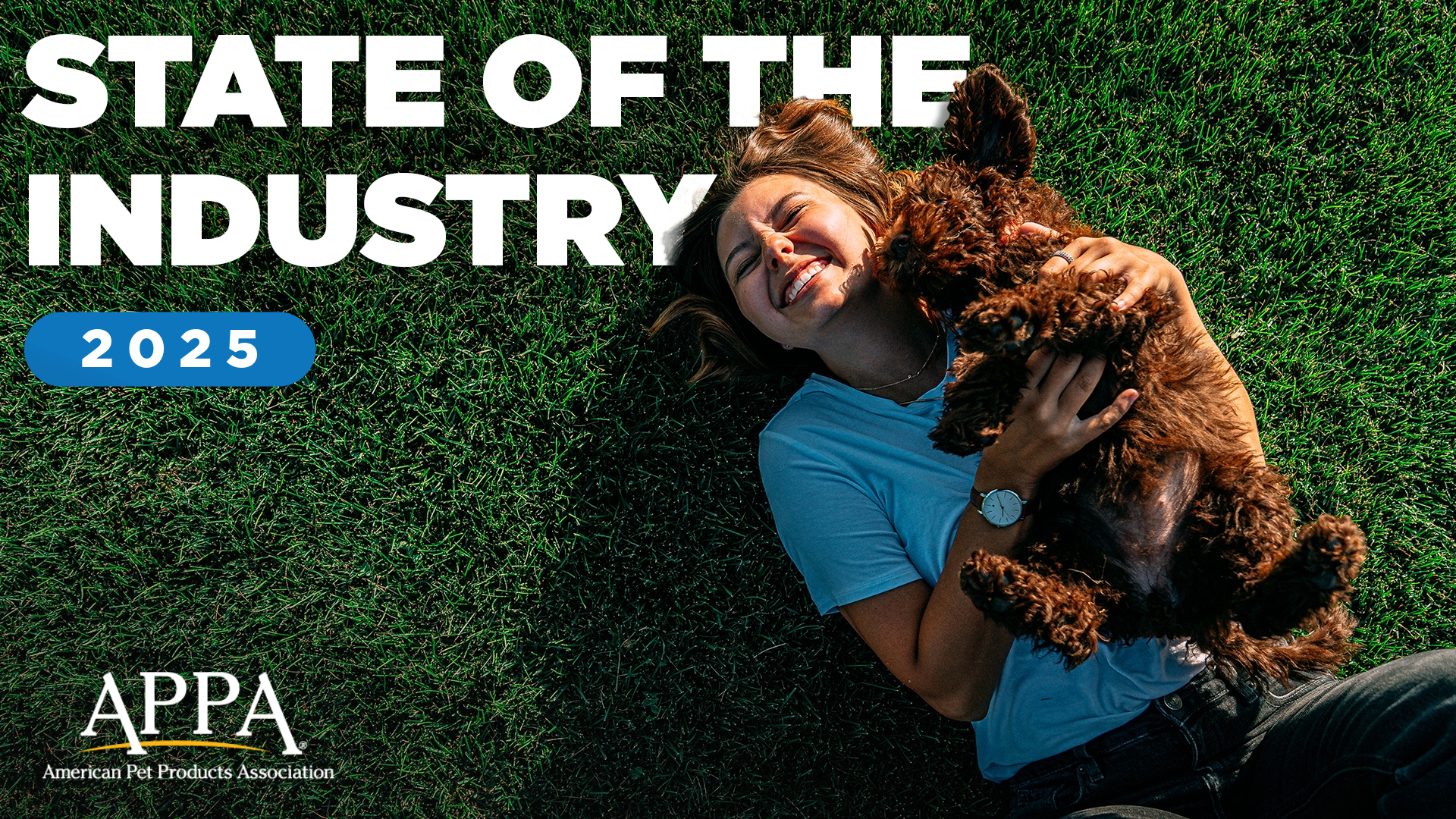 An application scenario or product detail of pet product trends 2025 - Image 2