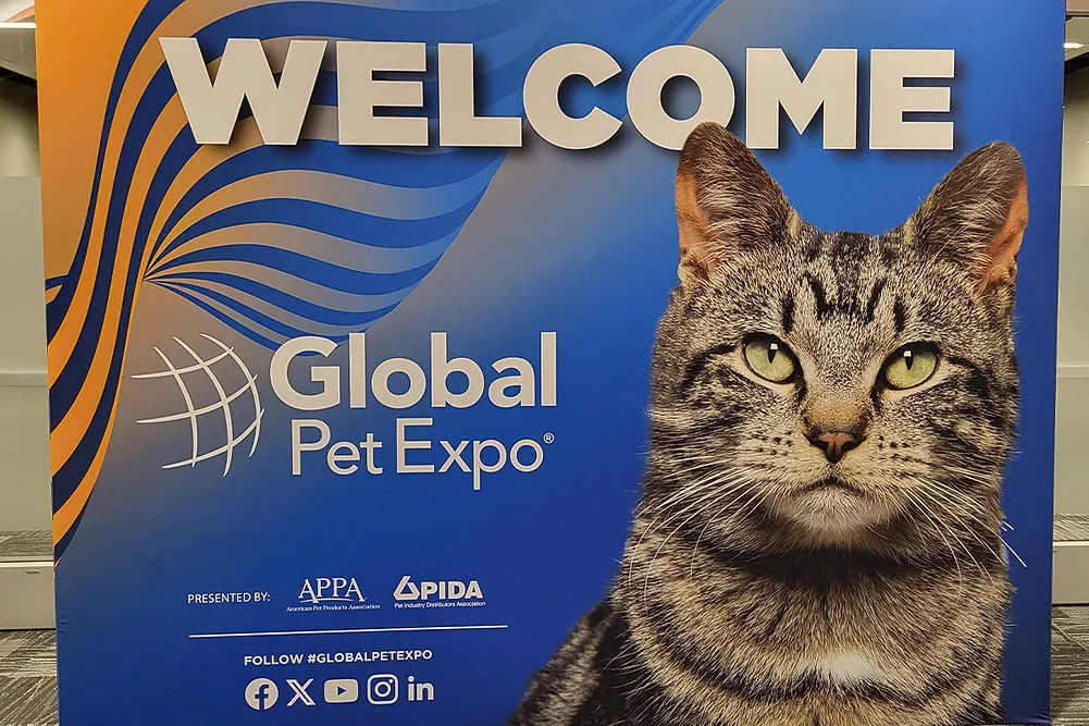 An application scenario or product detail of pet product trends 2025 - Image 9