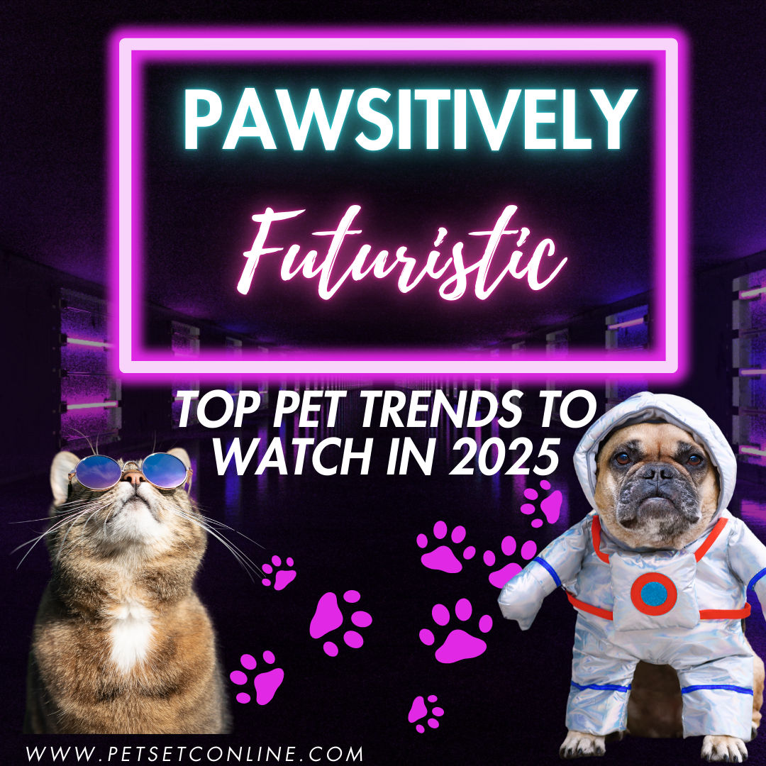 An application scenario or product detail of pet product trends 2025 - Image 15