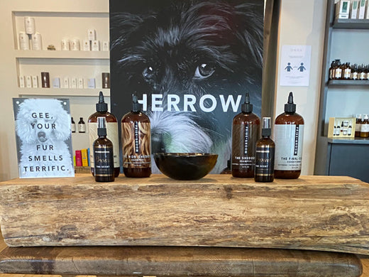 An application scenario or product detail of pet product trends 2025 - Image 16