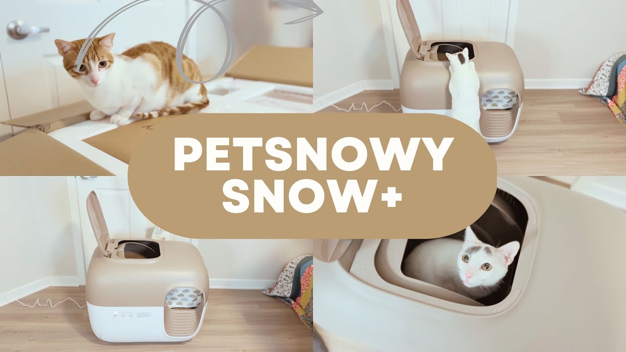 An application scenario or product detail of pet snowy cat litter box - Image 8