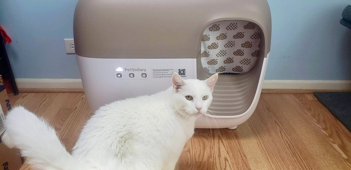 An application scenario or product detail of pet snowy cat litter box - Image 15