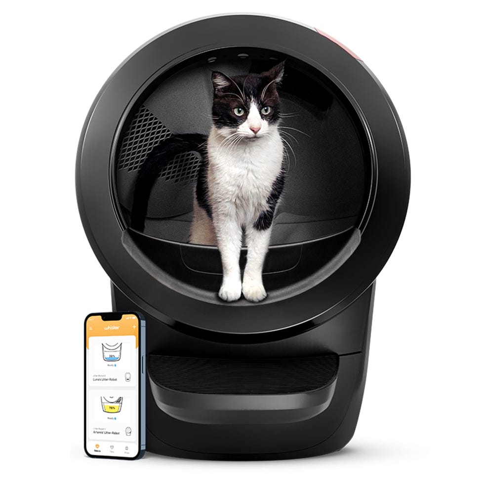 An application scenario or product detail of pet snowy vs litter robot 4 - Image 14