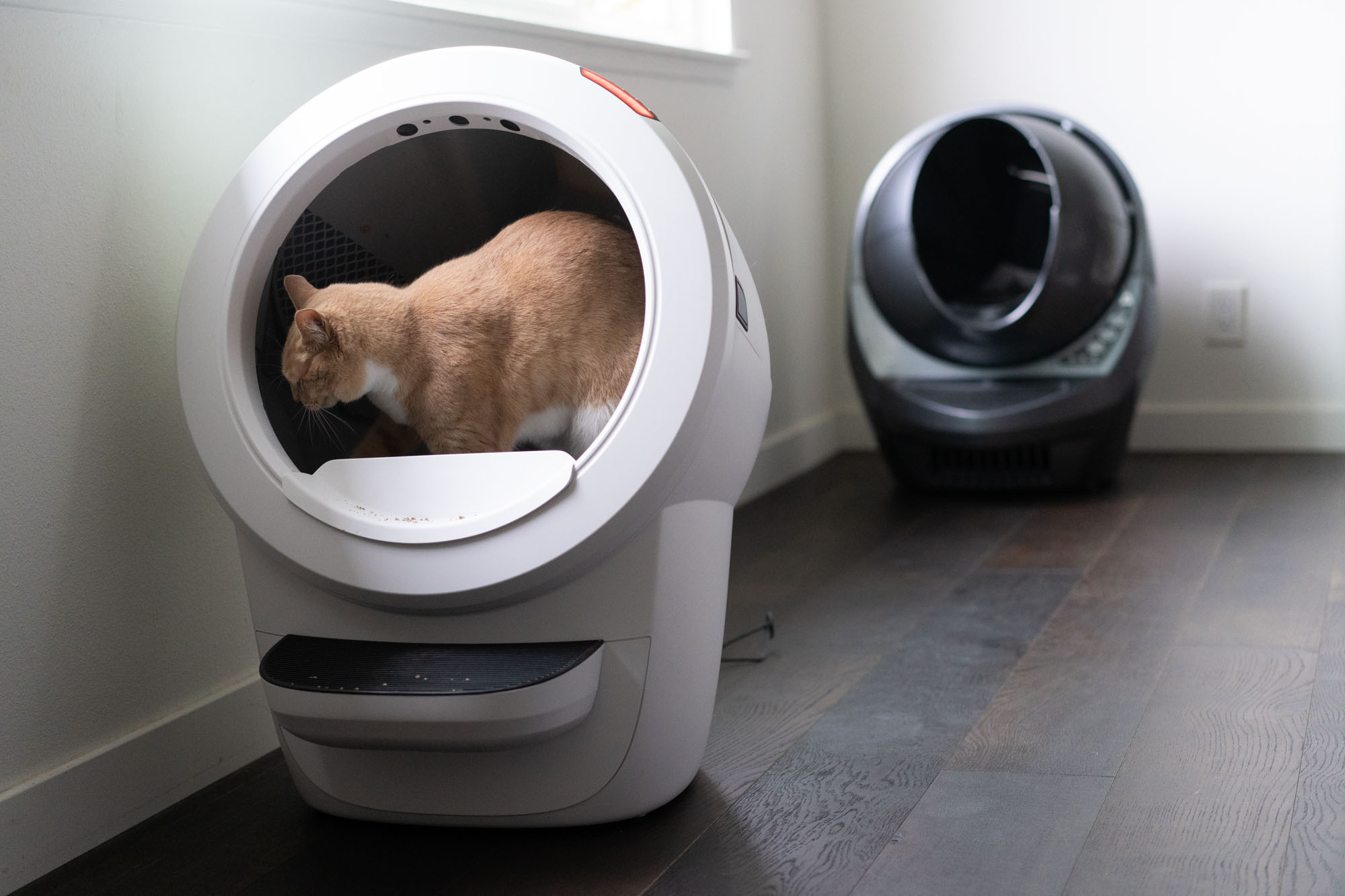 An application scenario or product detail of pet snowy vs litter robot 4 - Image 16