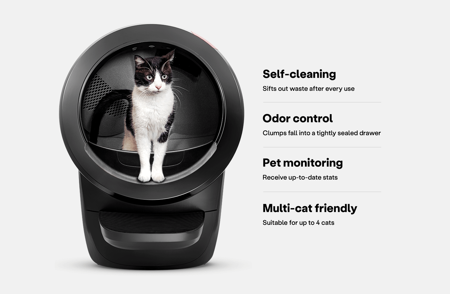 An application scenario or product detail of pet snowy vs litter robot 4 - Image 18