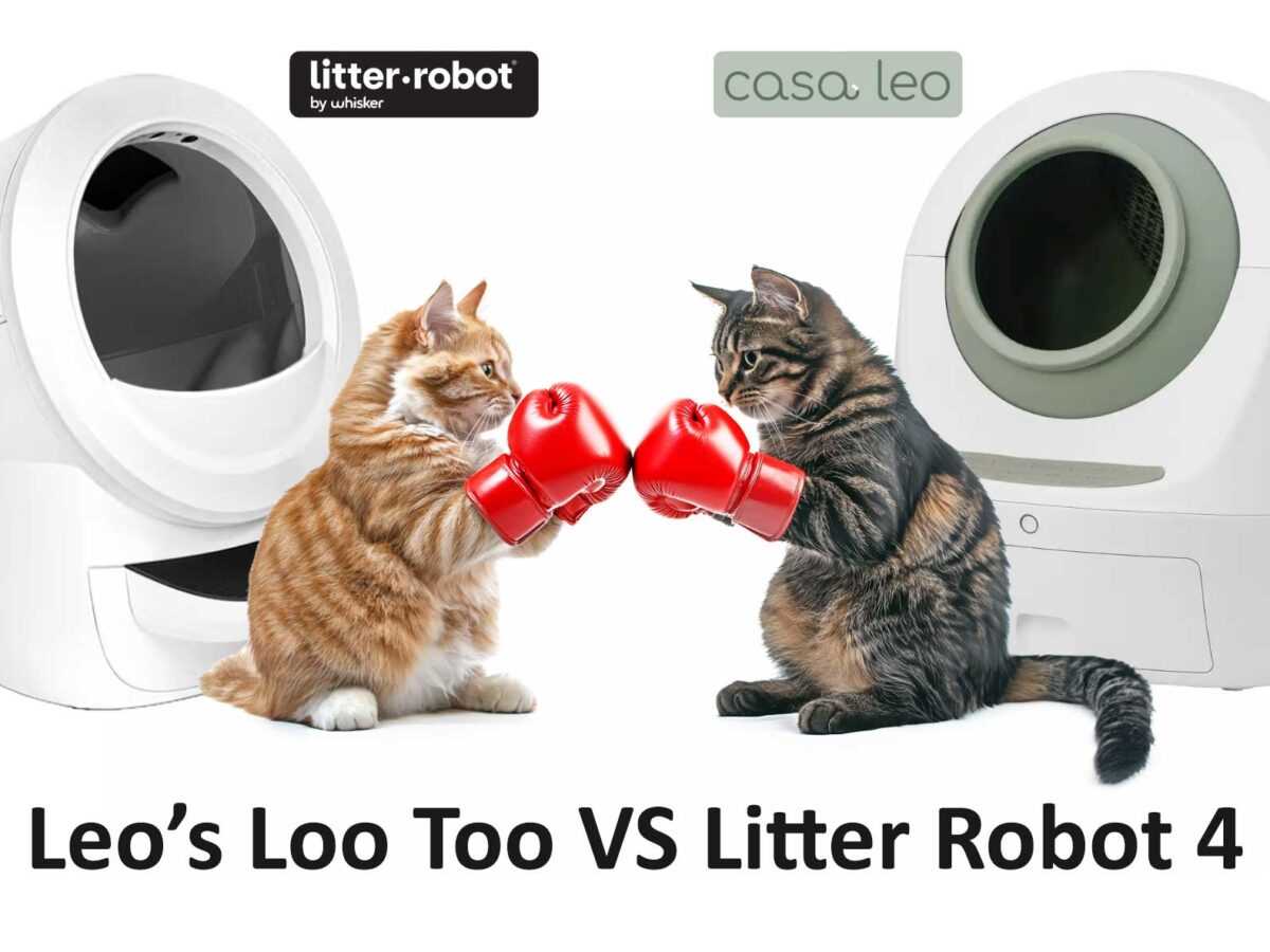 An application scenario or product detail of pet snowy vs litter robot 4 - Image 22