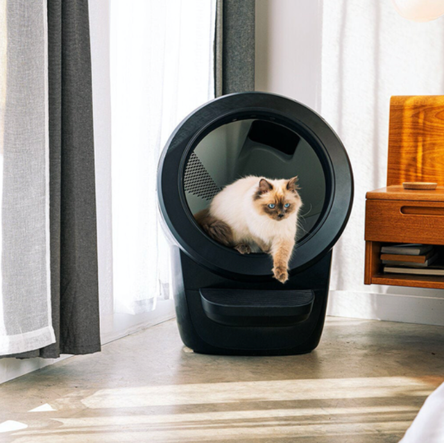 An application scenario or product detail of pet snowy vs litter robot 4 - Image 24