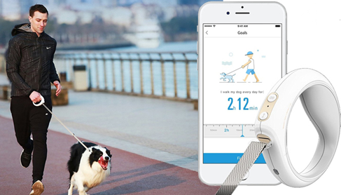 An application scenario or product detail of pet technology products - Image 4