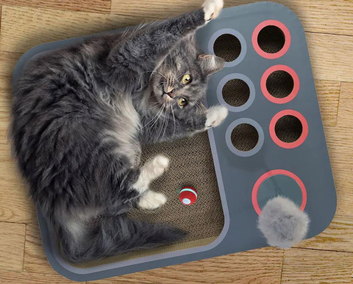 An application scenario or product detail of pet technology products - Image 5