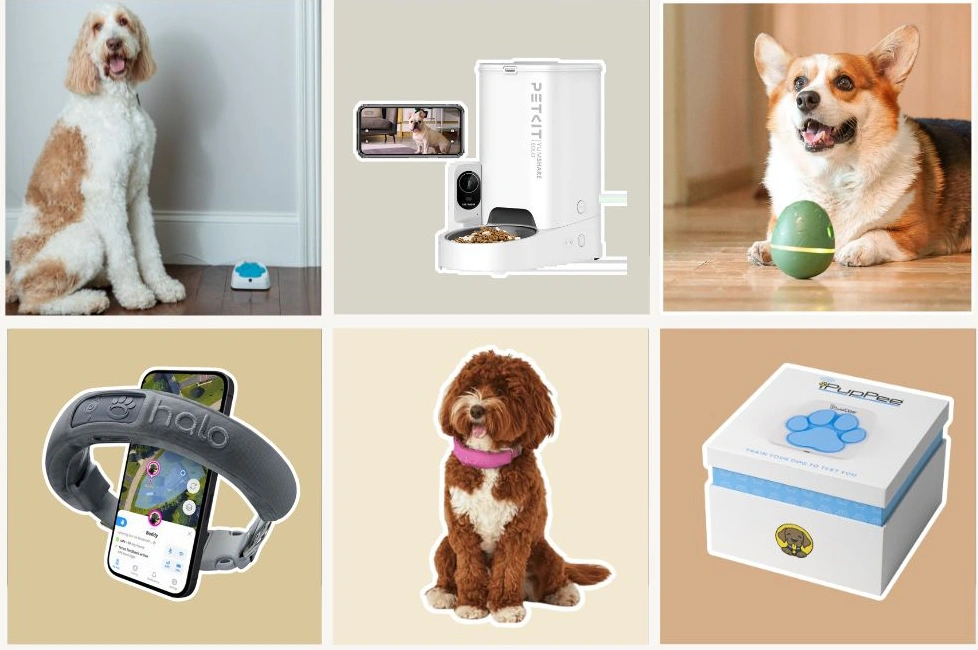 An application scenario or product detail of pet technology products - Image 11