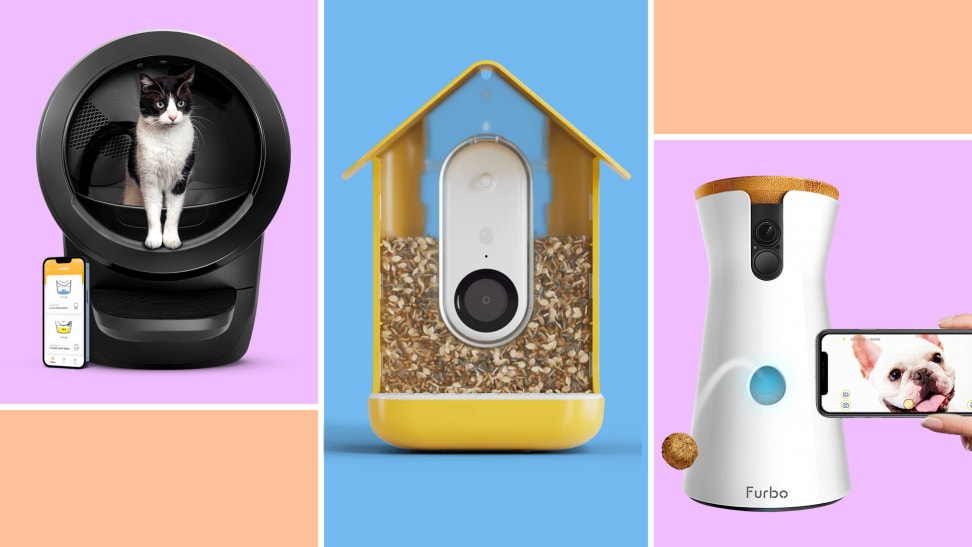 An application scenario or product detail of pet technology products - Image 13