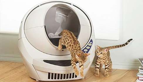 An application scenario or product detail of pet technology products - Image 14