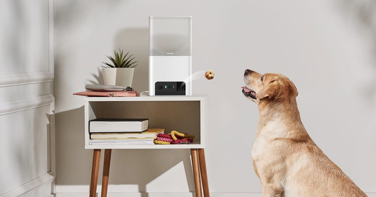 An application scenario or product detail of pet technology products - Image 19