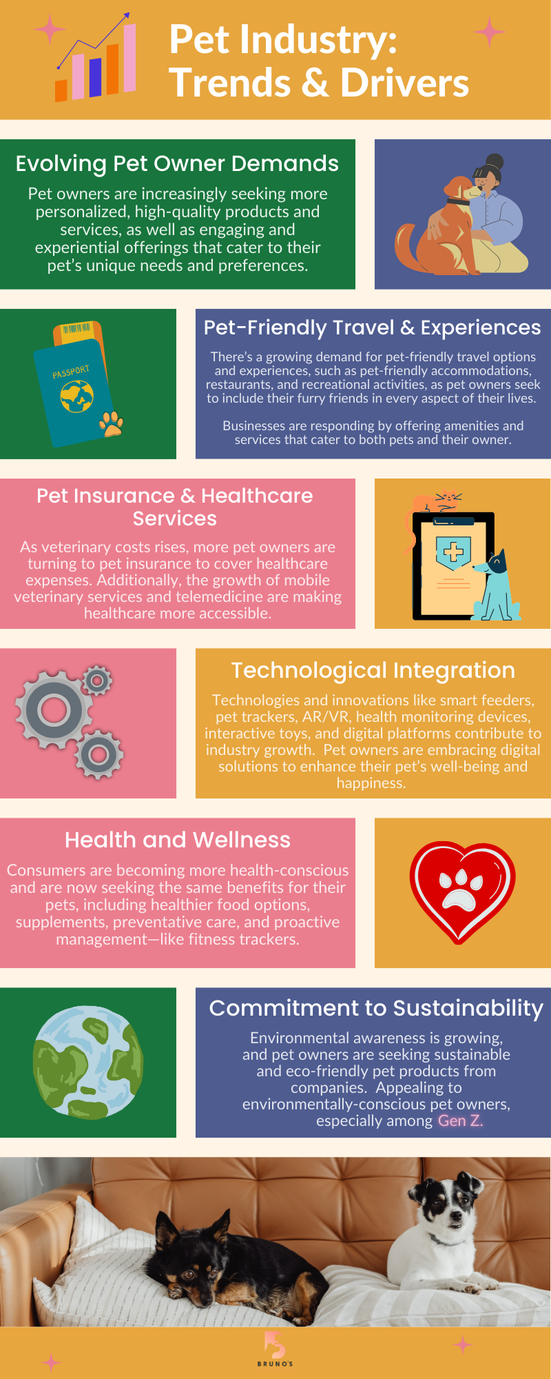 An application scenario or product detail of pet want - Image 12