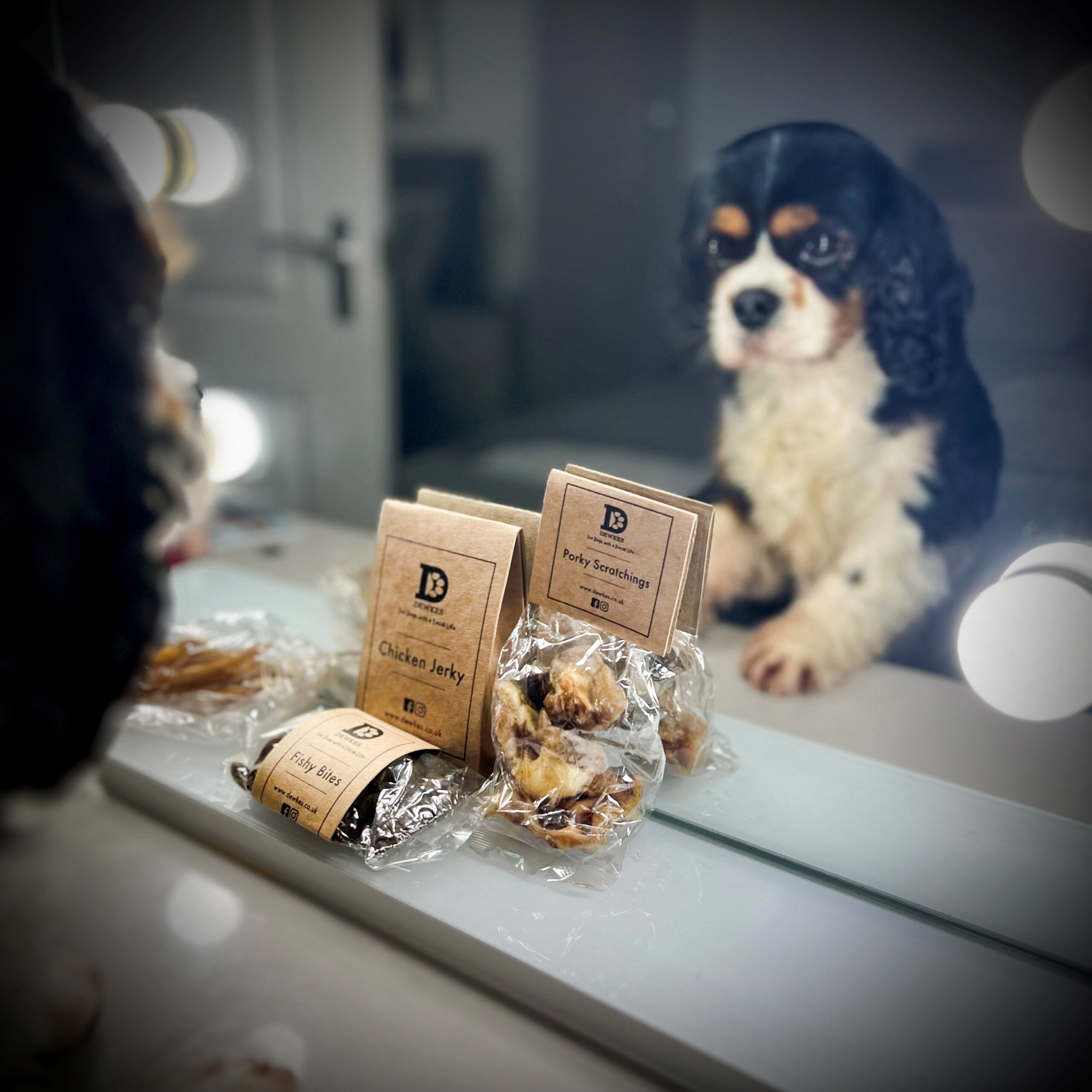 An application scenario or product detail of pet want - Image 17