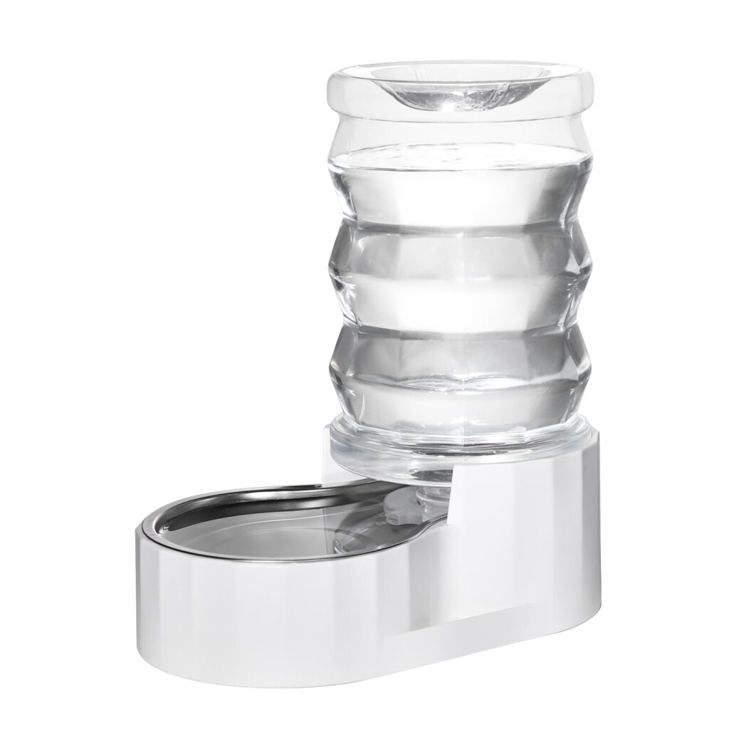 Featured image for the pet water dispenser stainless steel guide