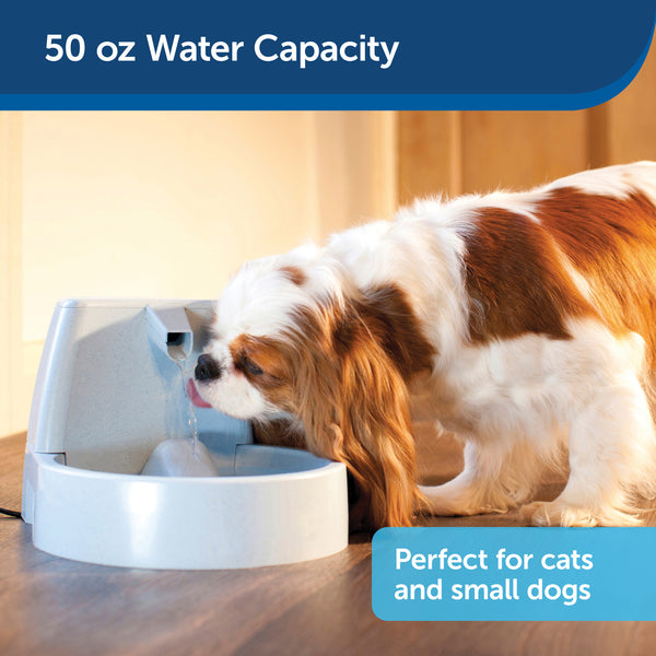An application scenario or product detail of pet water drinking fountain - Image 8