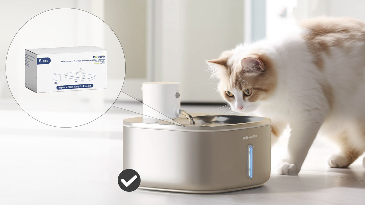 An application scenario or product detail of pet water filter - Image 3