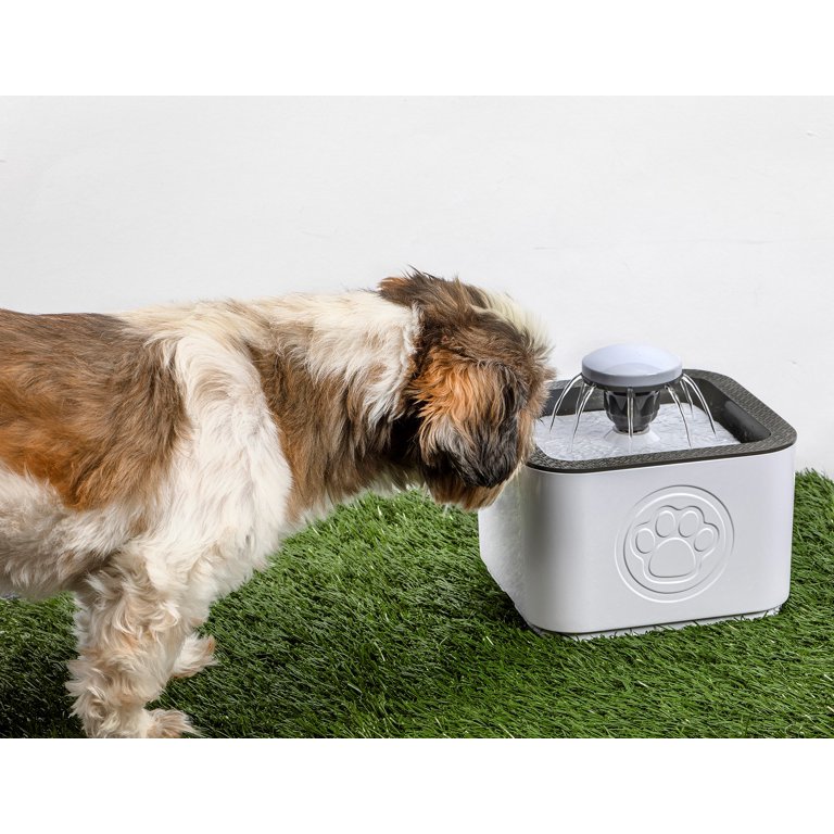 An application scenario or product detail of pet water fountain for dogs - Image 15