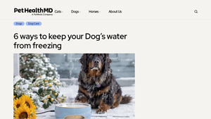 Pet Health MD - Heated Pet Bowls & Beds