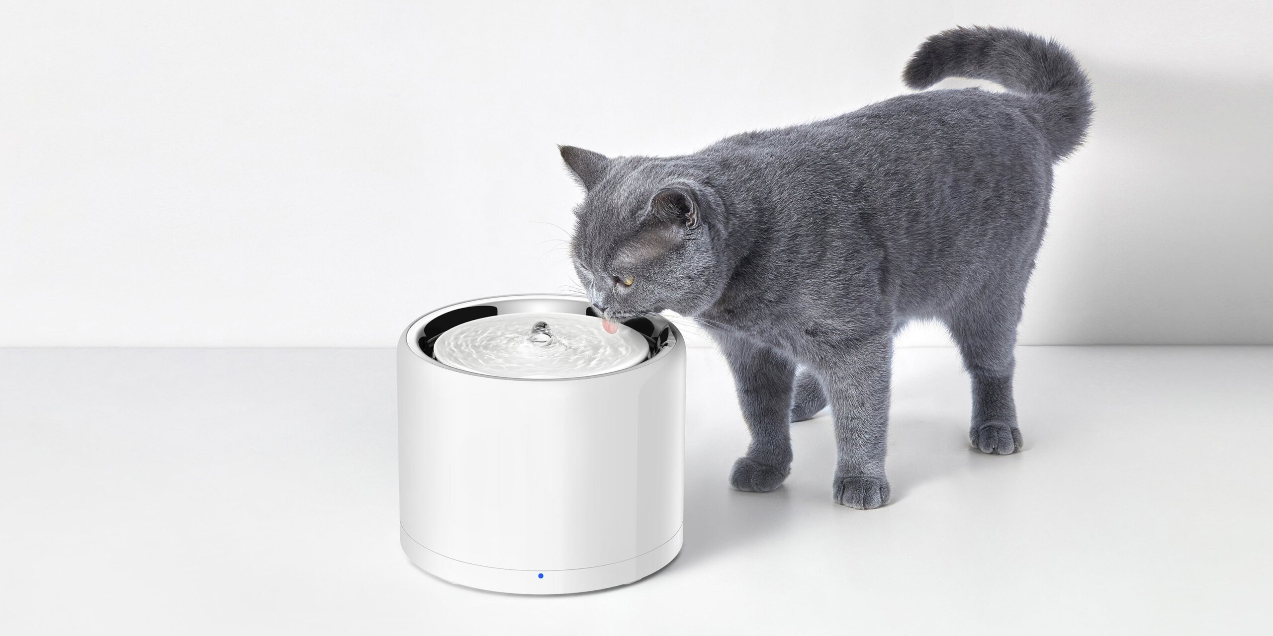 An application scenario or product detail of petkit eversweet 2 vs 3 - Image 19