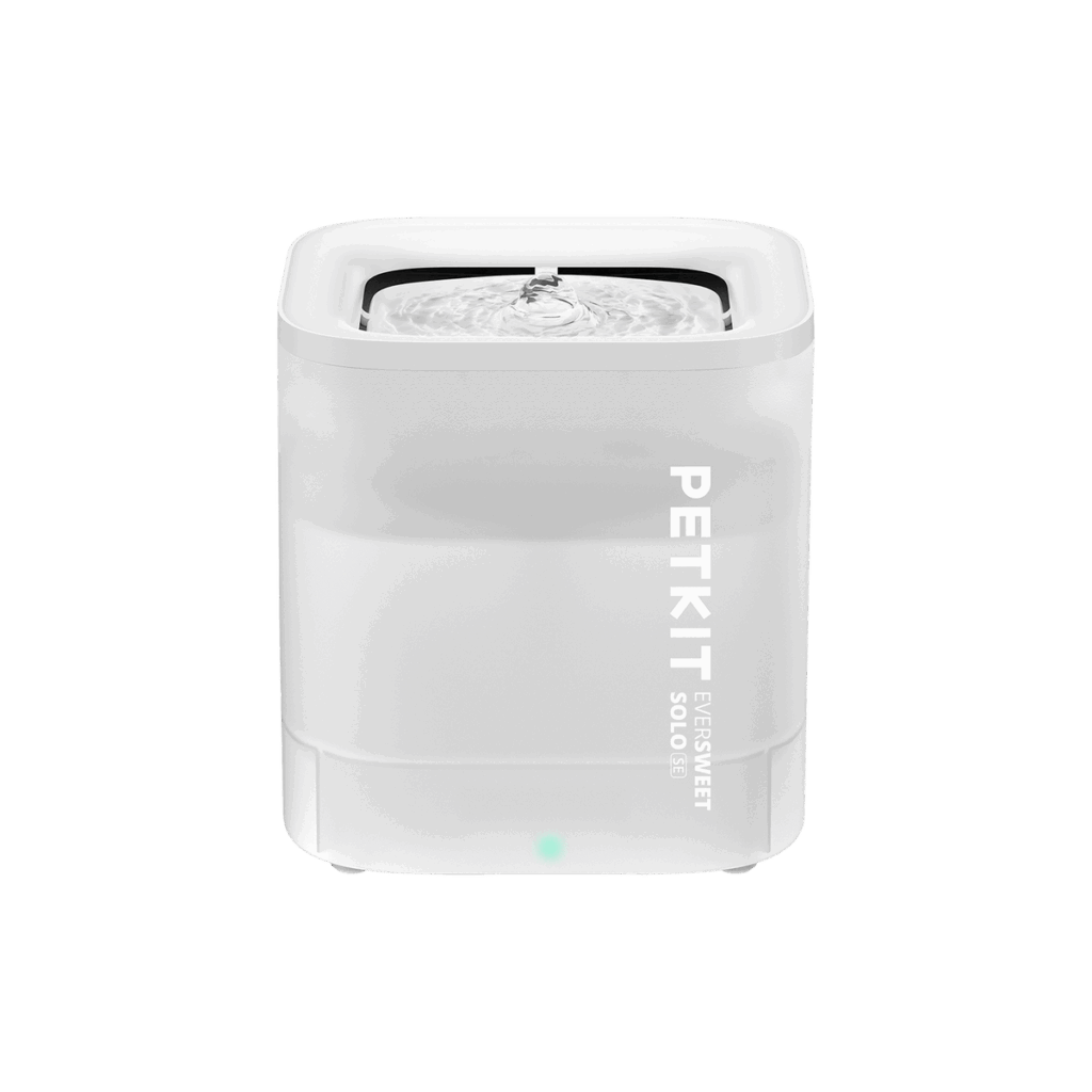 Featured image for the petkit eversweet fountain guide