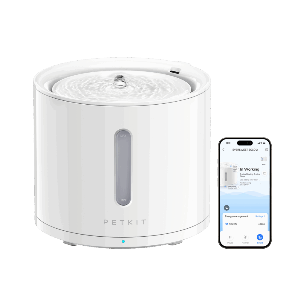 Featured image for the petkit eversweet solo 2 guide