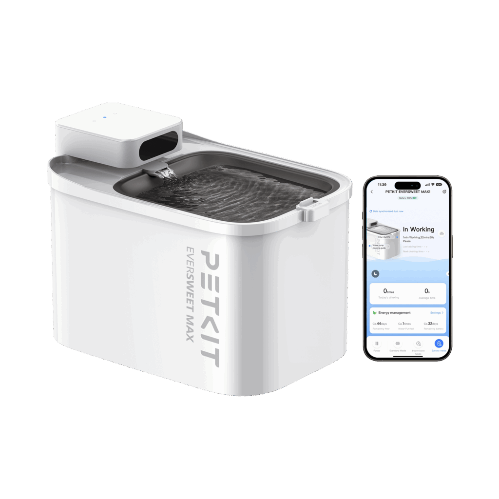 Featured image for the petkit water fountain guide