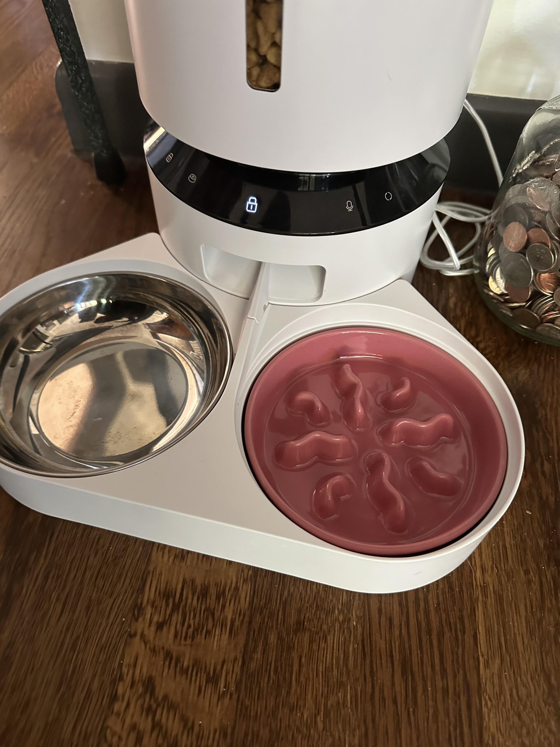 An application scenario or product detail of petlibro slow feeder insert - Image 1