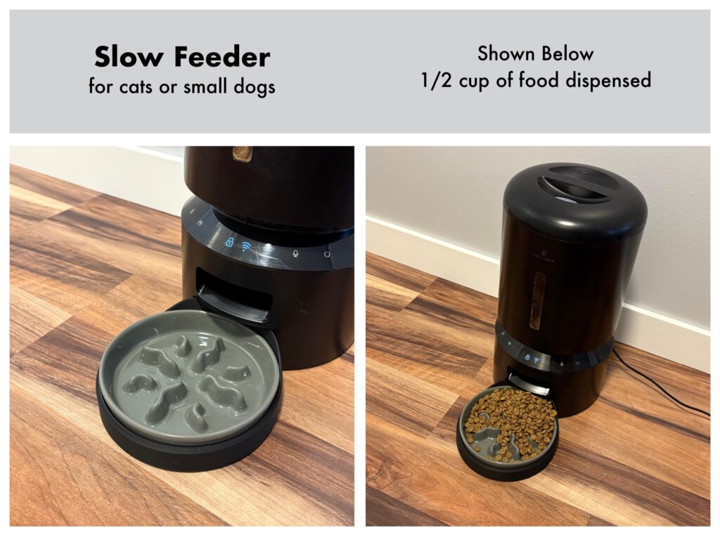 Featured image for the petlibro slow feeder insert guide