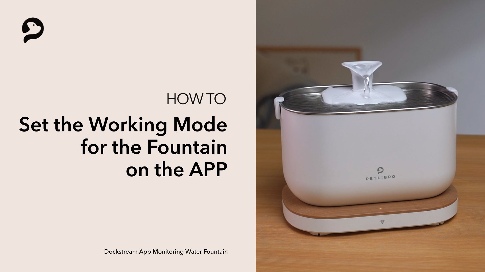 An application scenario or product detail of petlibro water - Image 8